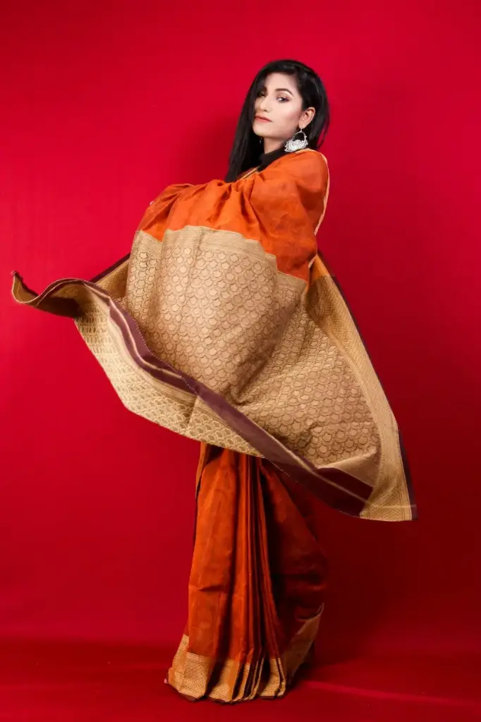 Sari new look and sine